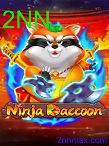 NinjaRaccoon